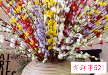 家里为什么不适合摆假花