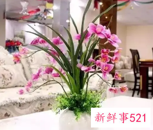 家里为什么不适合摆假花