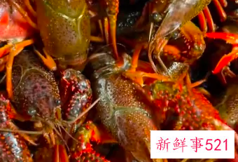 爆炒香辣小龙虾