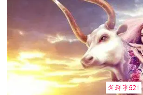 减肥最有毅力的四大星座