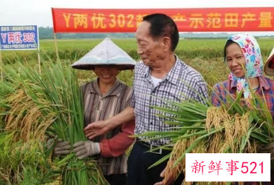 无数人被袁隆平安葬仪式上这句话看哭了