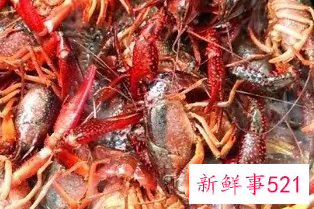 爆炒香辣小龙虾