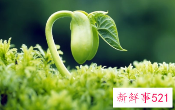 生物在生长过程中都需要什么