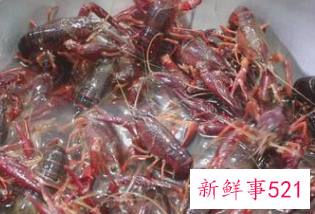 爆炒香辣小龙虾