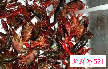 爆炒香辣小龙虾