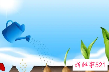 生物在生长过程中都需要什么