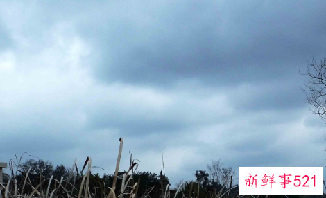 梦见阴天的意思