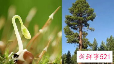 生物在生长过程中都需要什么