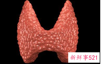 甲亢是不是会暴瘦