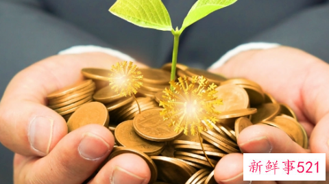 分红险与定期储蓄的区别