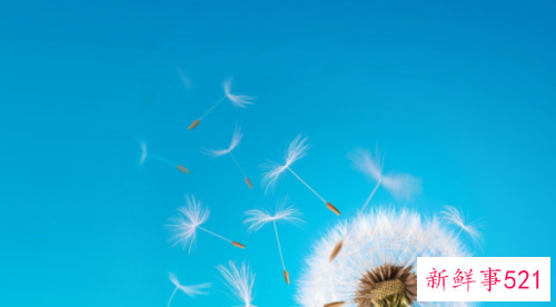 太阳水瓶月亮金牛的性格解析