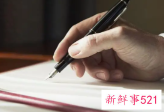 项目概述怎么写的