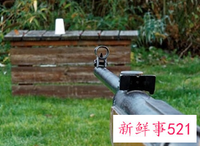 梦见被枪打死是什么意思