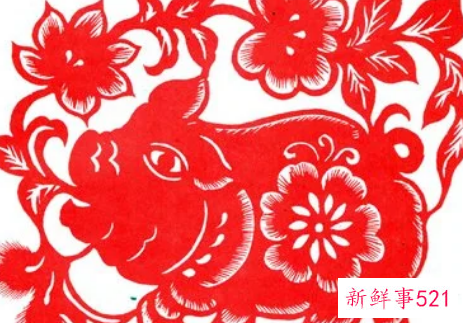 属猪的适合穿红色衣服吗