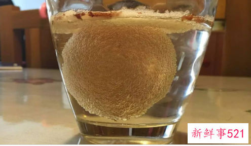 醋可以泡哪些食物