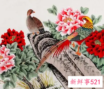 挂花鸟画的禁忌