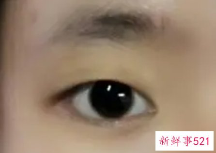 单眼皮的所有眼型图