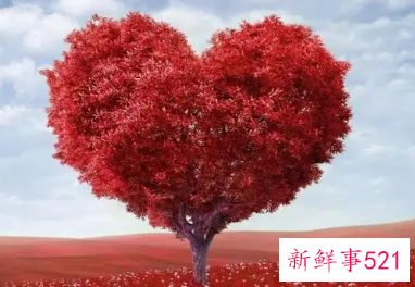 一生挚爱的微信名字