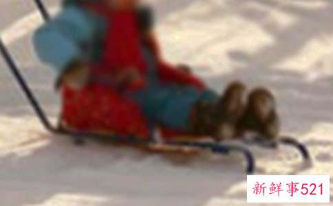 阿拉斯加雪橇犬训练的几个要点