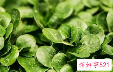 让女性越吃越漂亮的食物搭配