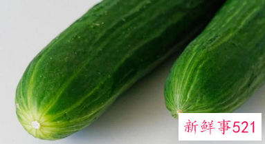 山黄瓜和普通黄瓜哪个好