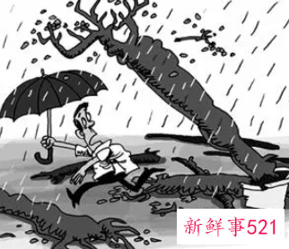 梦见砸死人寓意