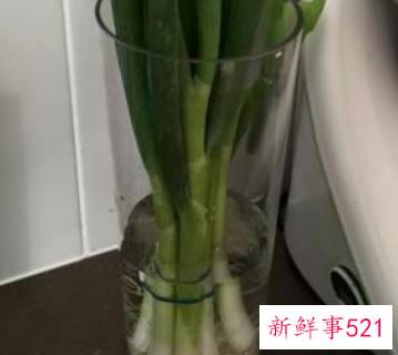 保持食物新鲜的方法