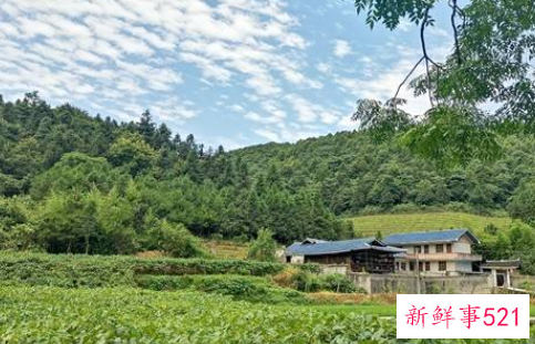 感受乡村气息句子