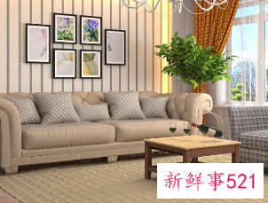 现在家具流行什么颜色好看