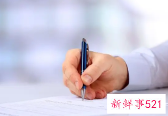 项目概述怎么写的