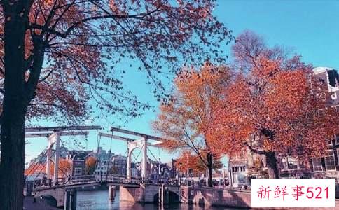 全天候护肤套餐教你如何打造秋日完美肌肤