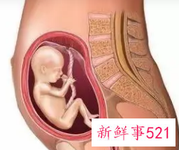 7个月的胎儿会出现什么情况