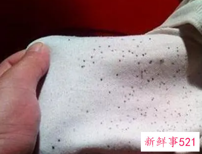 衣服发霉怎么办小窍门