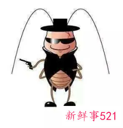 直接撒洗衣粉可以驱赶蟑螂吗