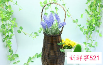 花篮插花时的特点有哪些