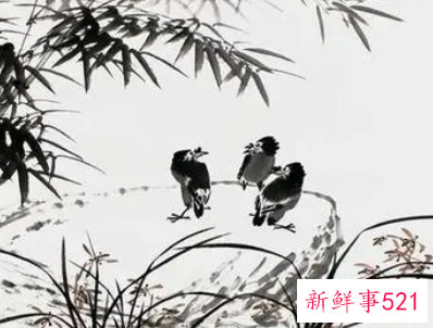 挂花鸟画的禁忌