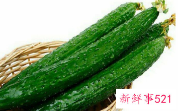 山黄瓜和普通黄瓜哪个好