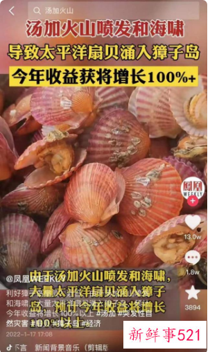 网传汤加火山爆发致大量扇贝涌入獐子岛