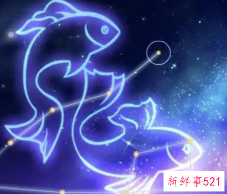 双鱼女适合做什么生意