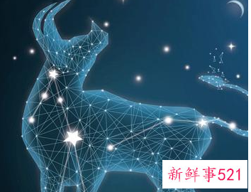 金牛男试探女生的一些表现