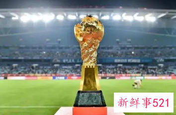 山东泰山时隔11年再次夺冠