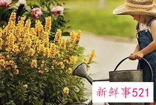 梦见园丁花匠是什么意思