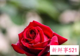 射手女平时很低调