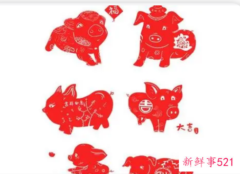 属猪的适合穿红色衣服吗