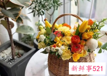 花篮插花时的特点有哪些
