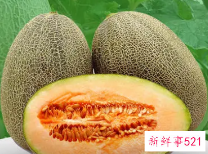 哈密瓜10大品牌