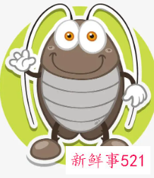 直接撒洗衣粉可以驱赶蟑螂吗