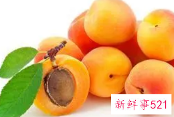 水果杏的功效与作用