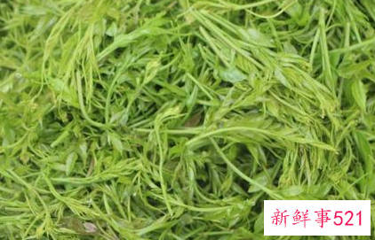 藤茶应该如何做