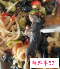 梦见老鼠在菜里